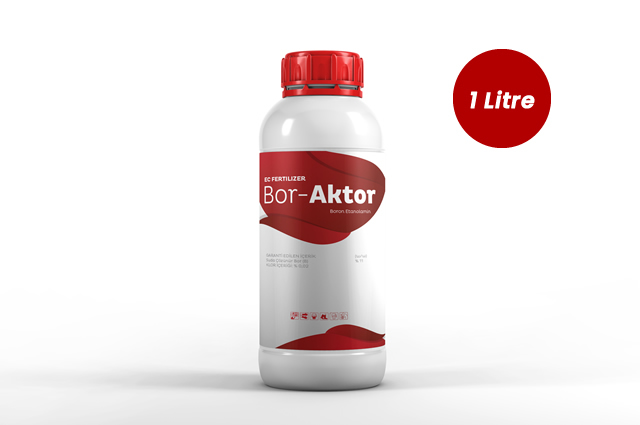 Bor Aktor